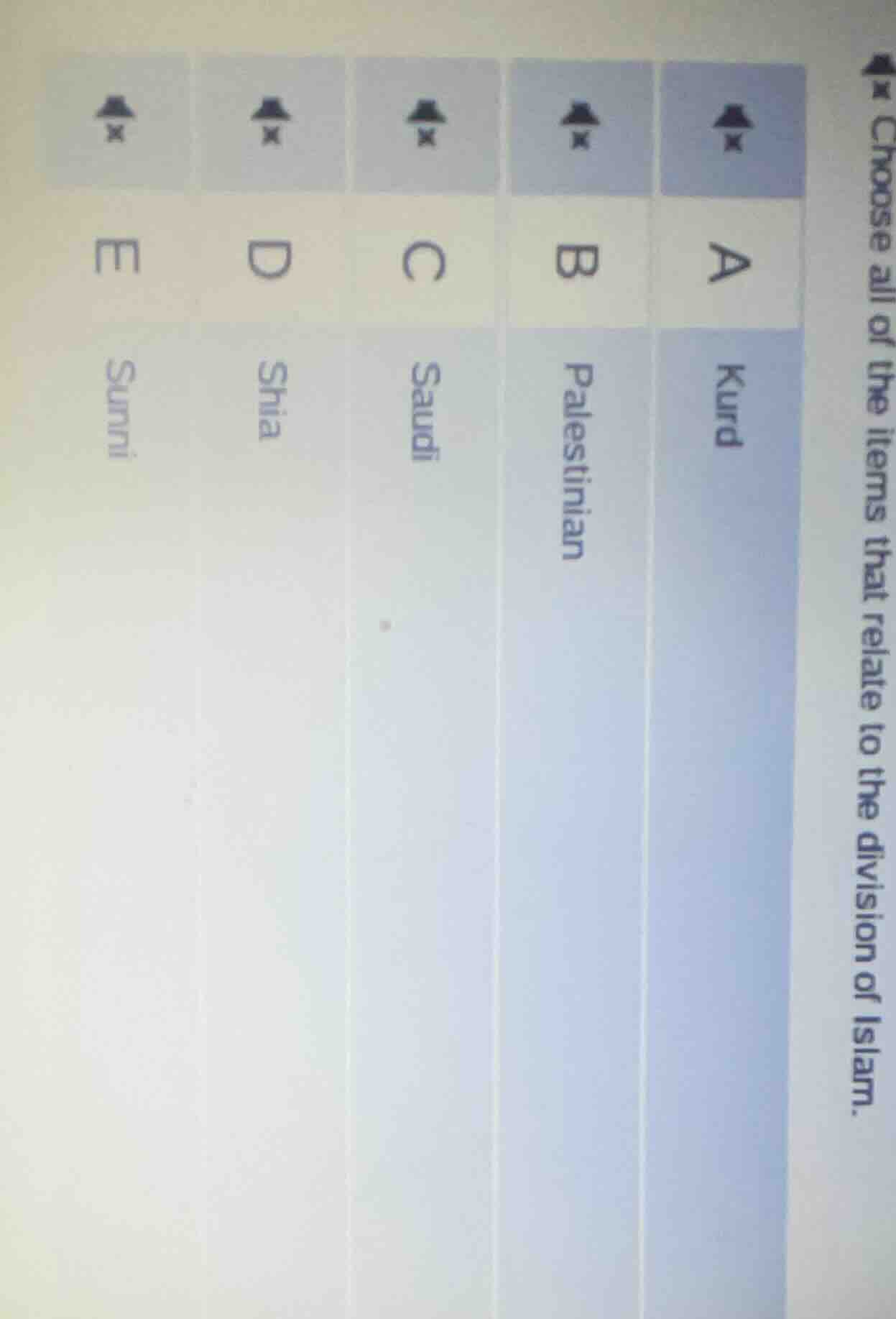 choose all of the items that relate to the division of islam. a kurd b …