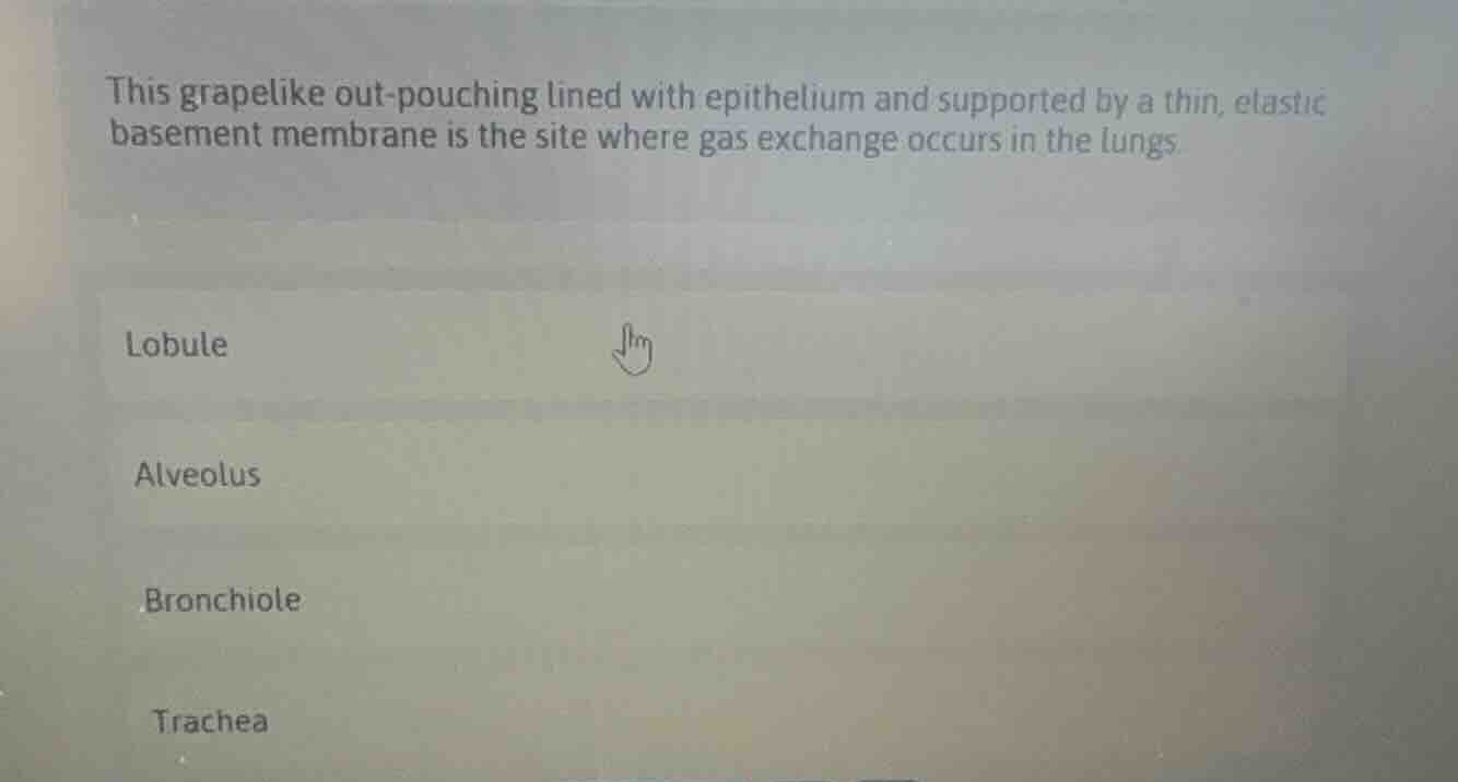 this grapelike out-pouching lined with epithelium and supported by a th…