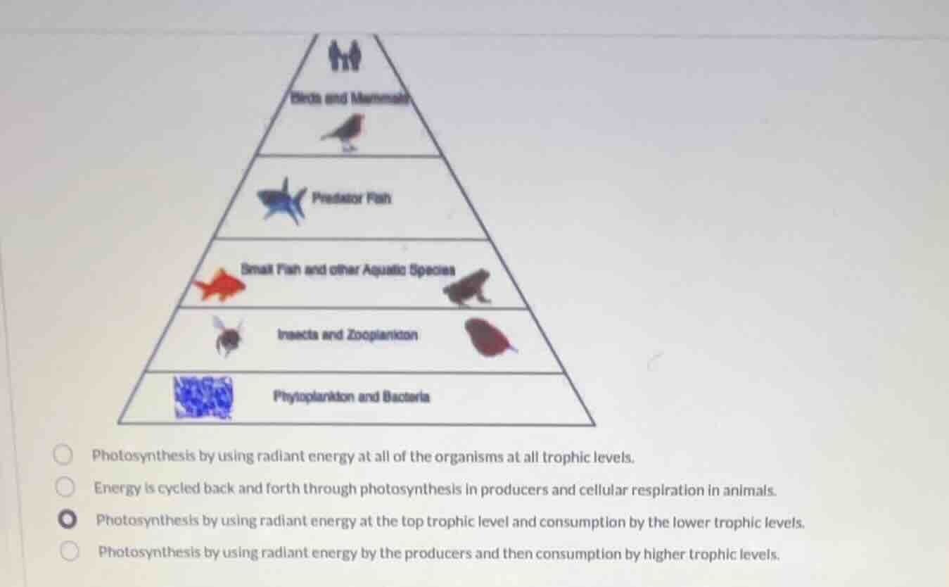 birds and mammals predator fish small fish and other aquatic species in…