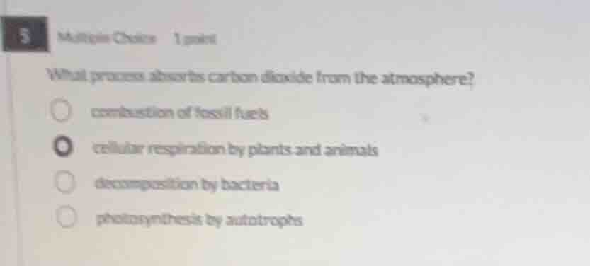 5 multiple choice 1 point what process absorbs carbon dioxide from the …