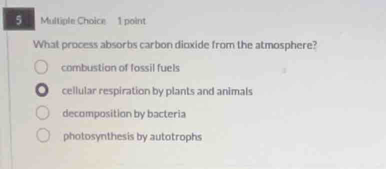 5 multiple choice 1 point what process absorbs carbon dioxide from the …