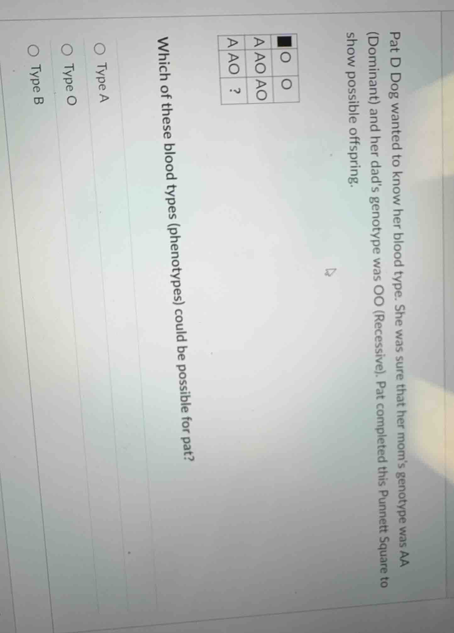 pat d dog wanted to know her blood type. she was sure that her moms gen…