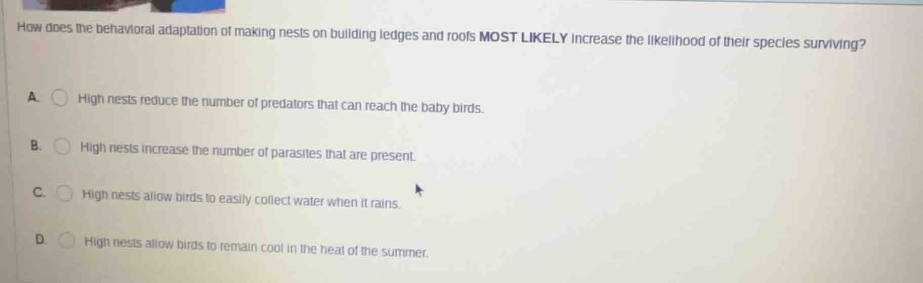 how does the behavioral adaptation of making nests on building ledges a…