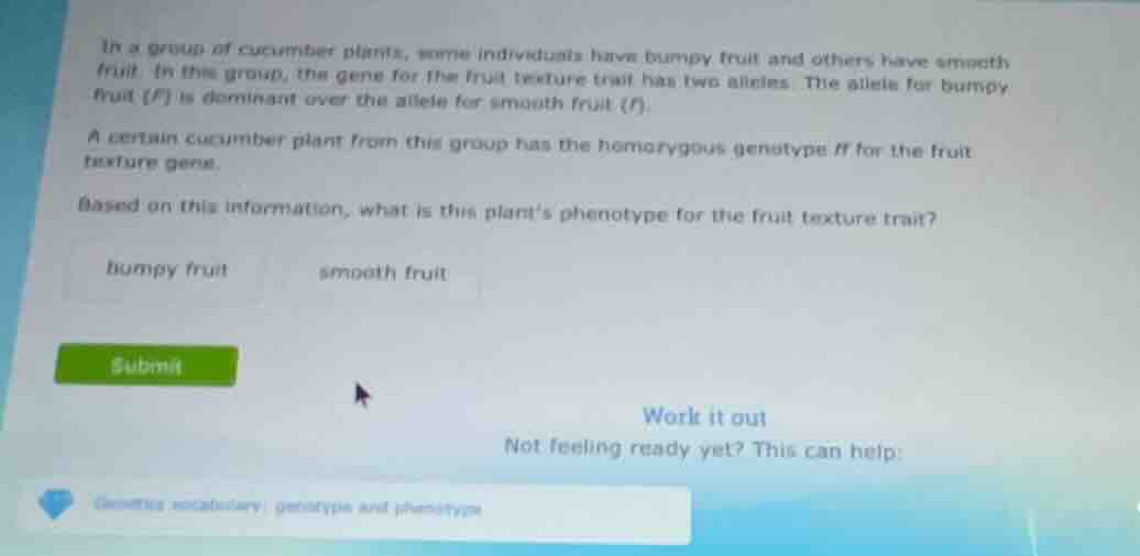 in a group of cucumber plants, some individuals have bumpy fruit and ot…