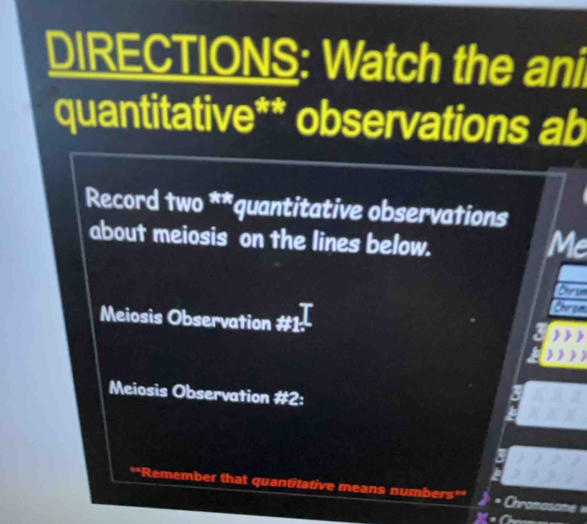 directions: watch the ani quantitative** observations ab record two **q…