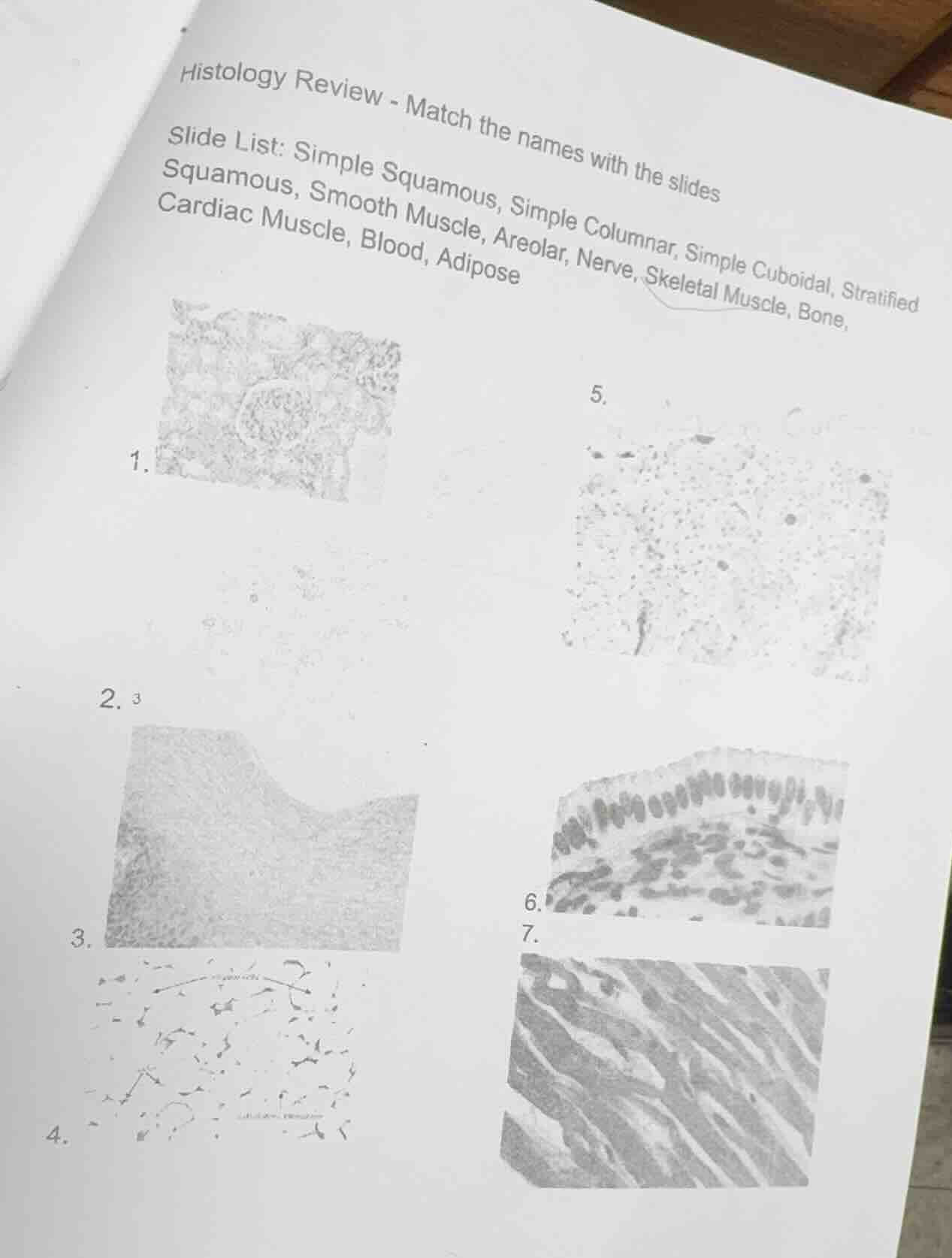histology review - match the names with the slides slide list: simple s…