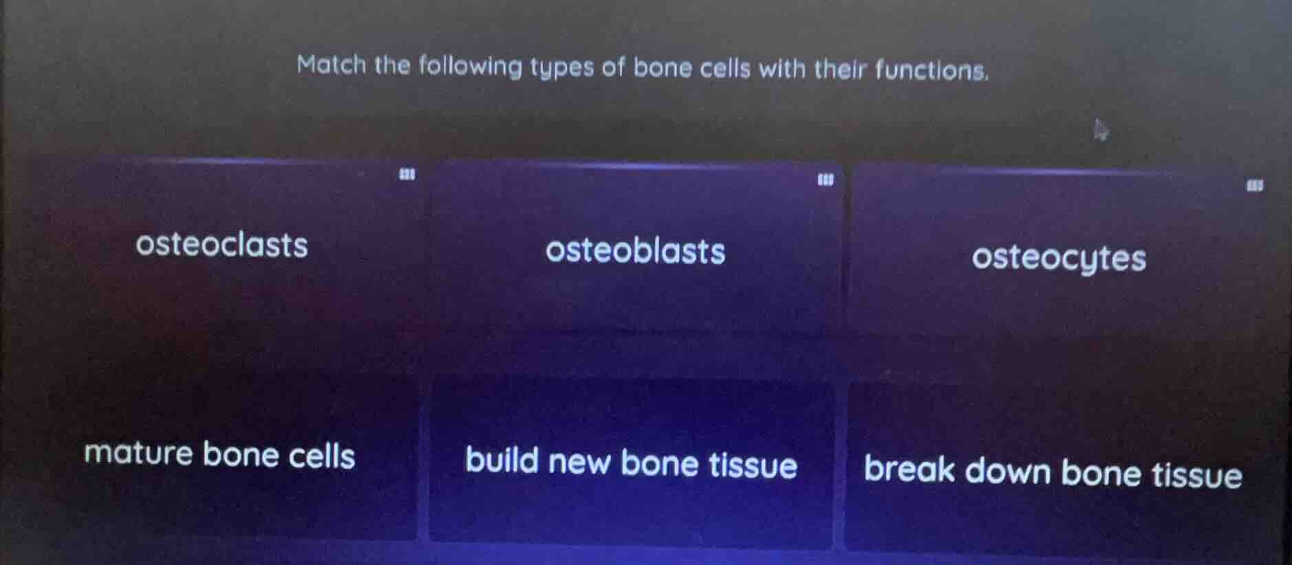 match the following types of bone cells with their functions. osteoclas…