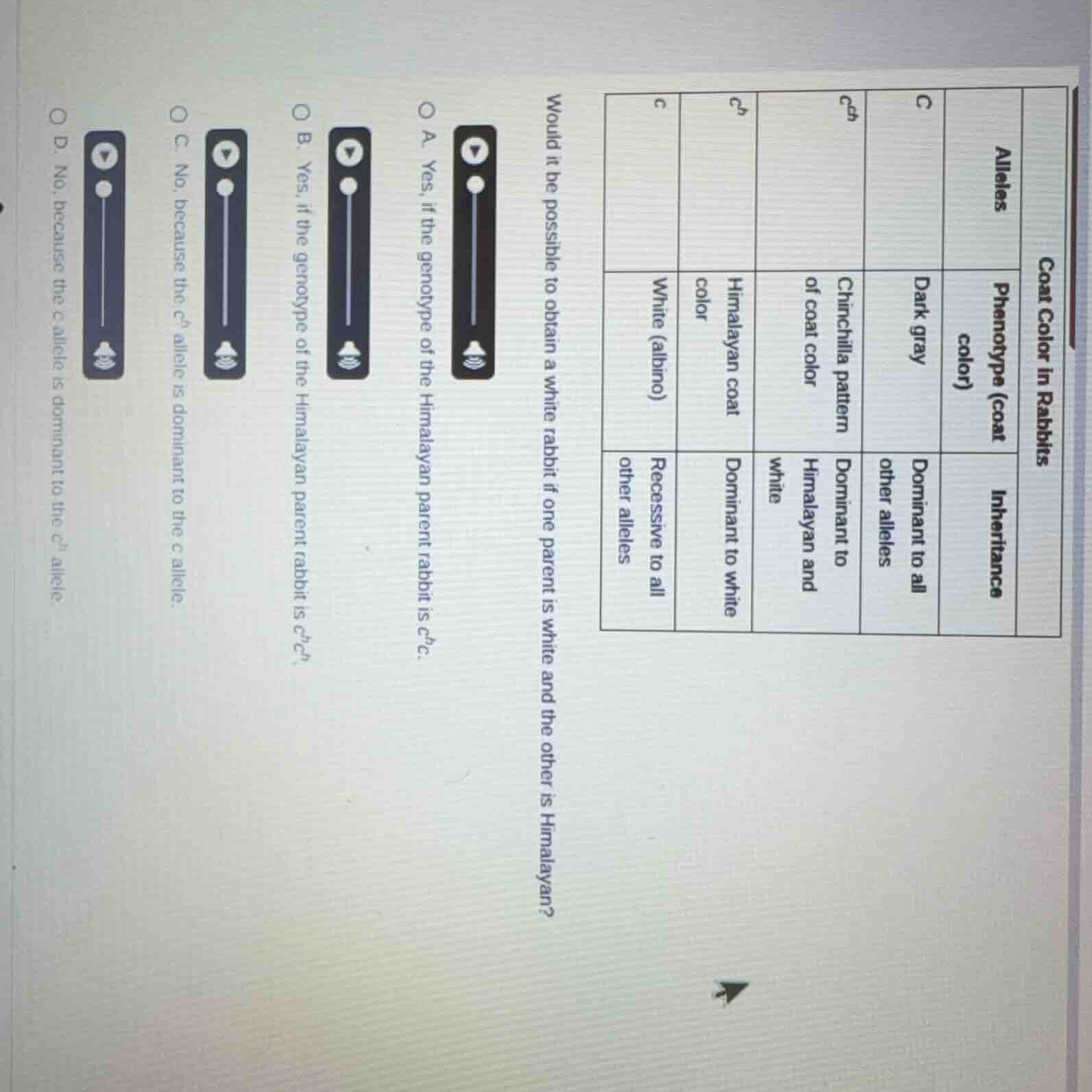 coat color in rabbits|alleles|c|$c^{ch}$|$c^{h}$|c|| ---- | ---- | ----…