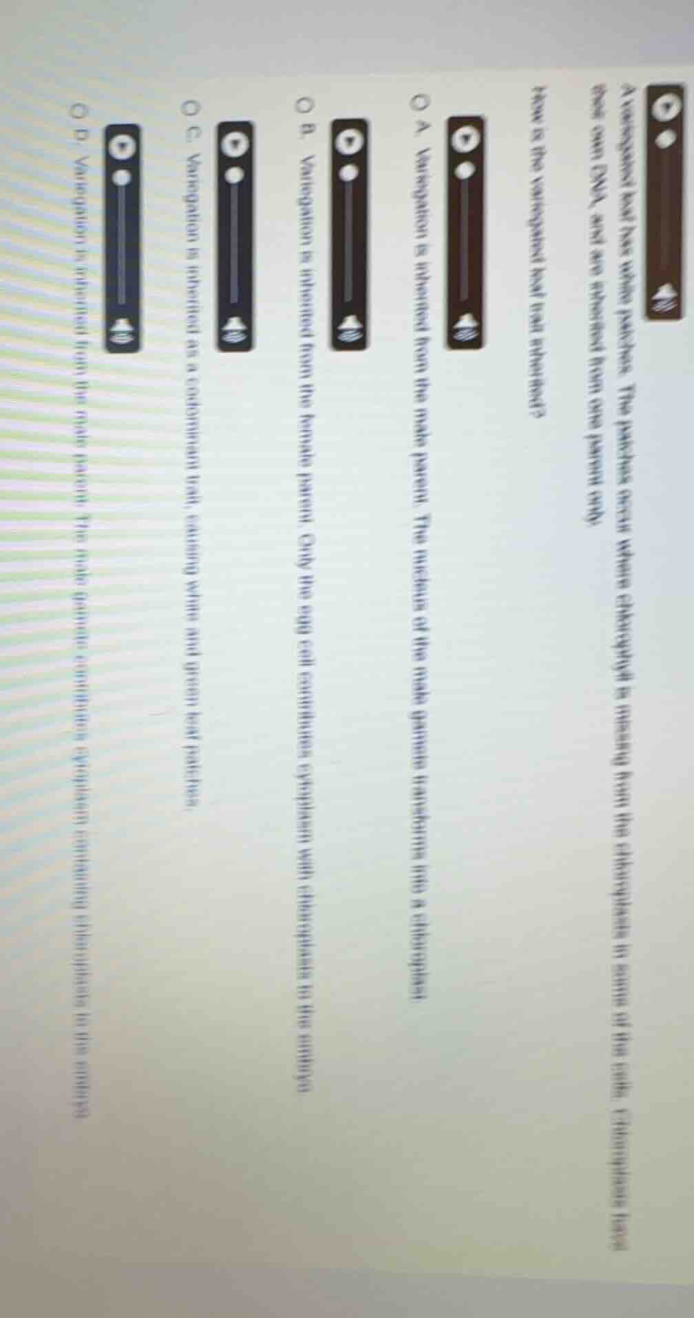 4)a variegated leaf has white patches. the patches occur where chloroph…