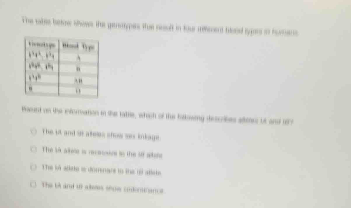 the table below shows the genotypes that result in four different blood…