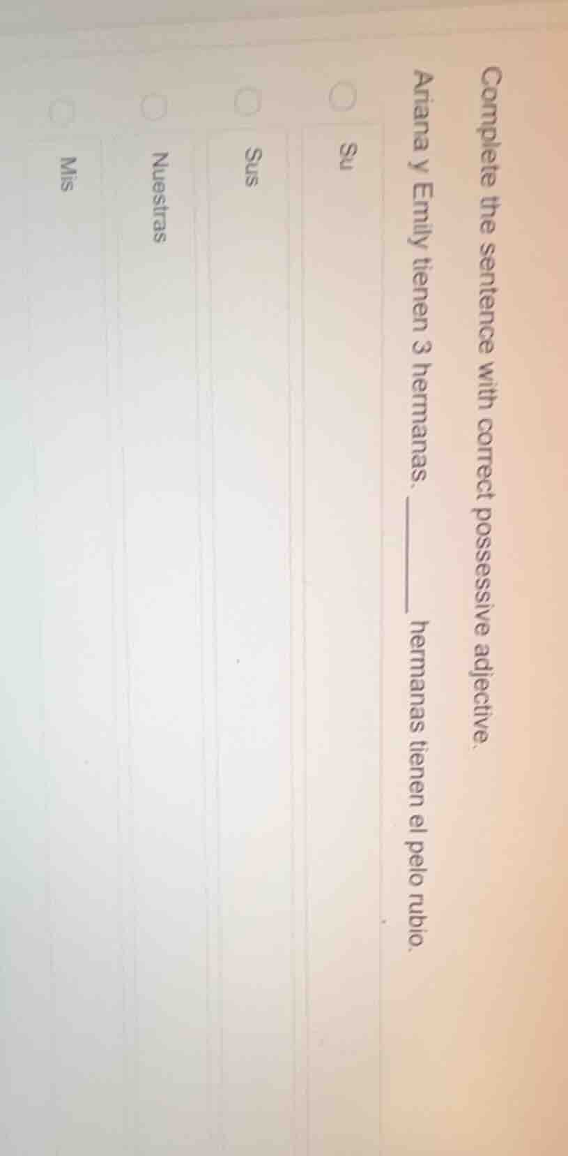 complete the sentence with correct possessive adjective. ariana y emily…