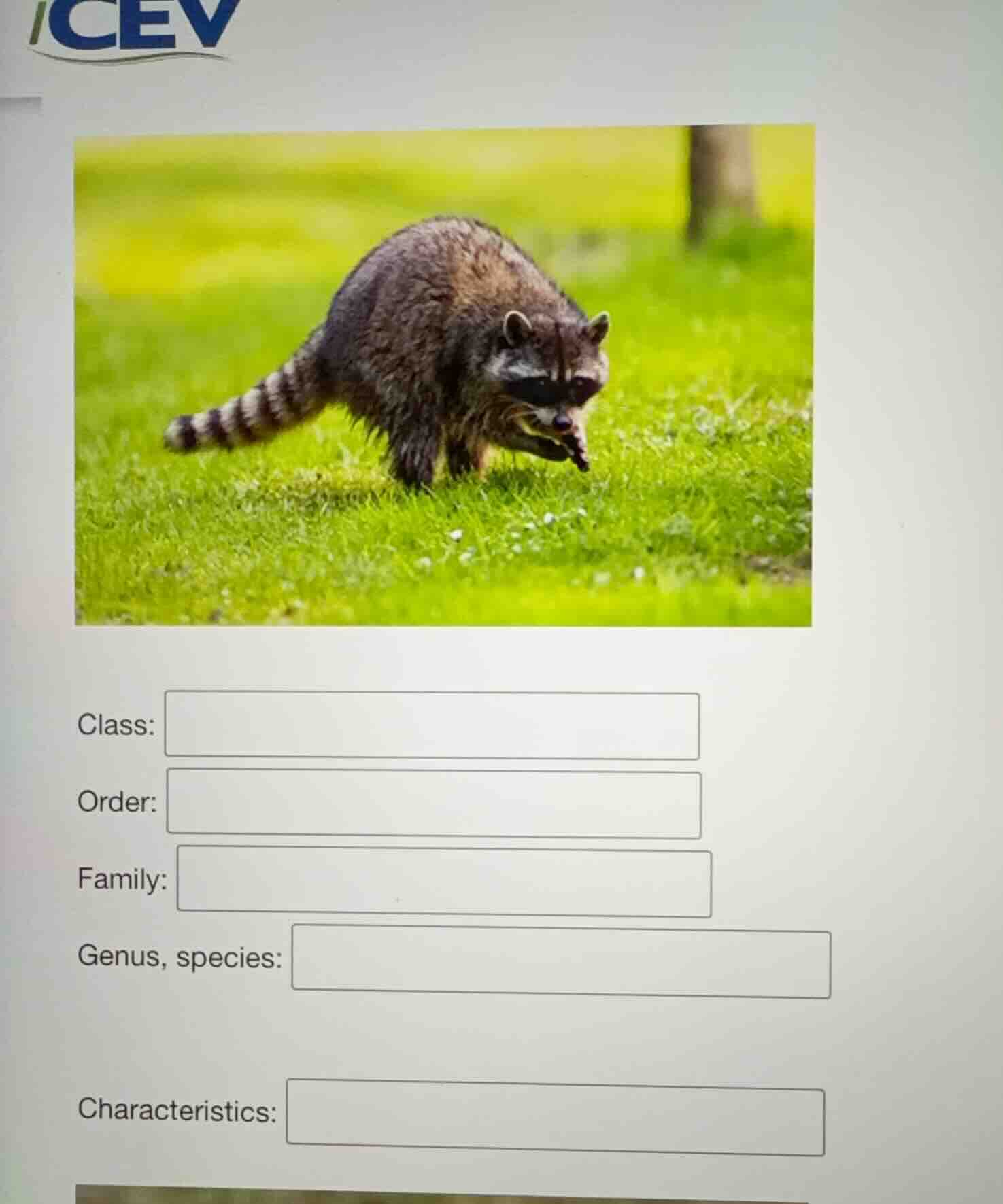 class: _______ order: _______ family: _______ genus, species: _______ c…