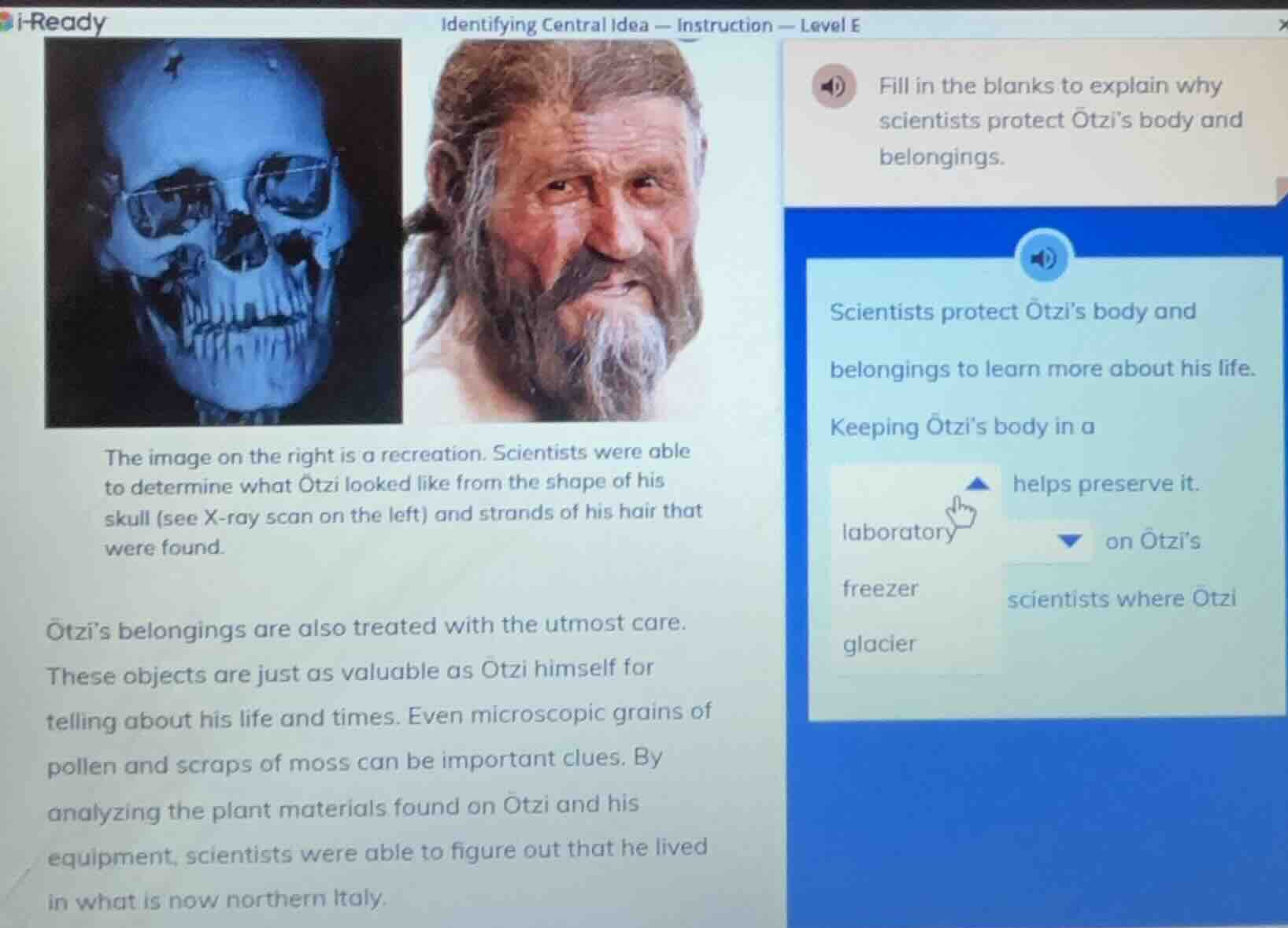 identifying central idea — instruction — level e fill in the blanks to …