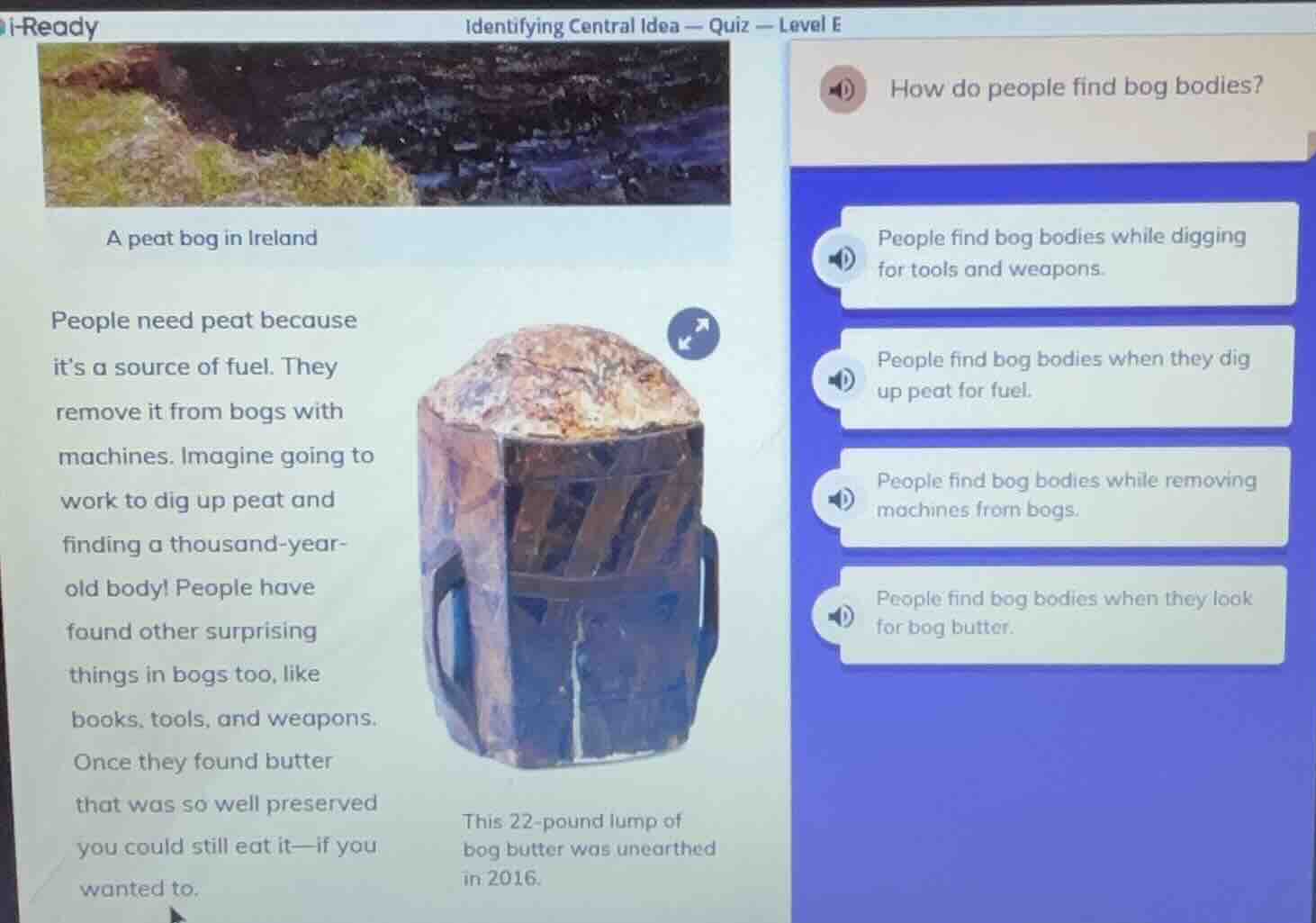 i-ready identifying central idea — quiz — level e a peat bog in ireland…