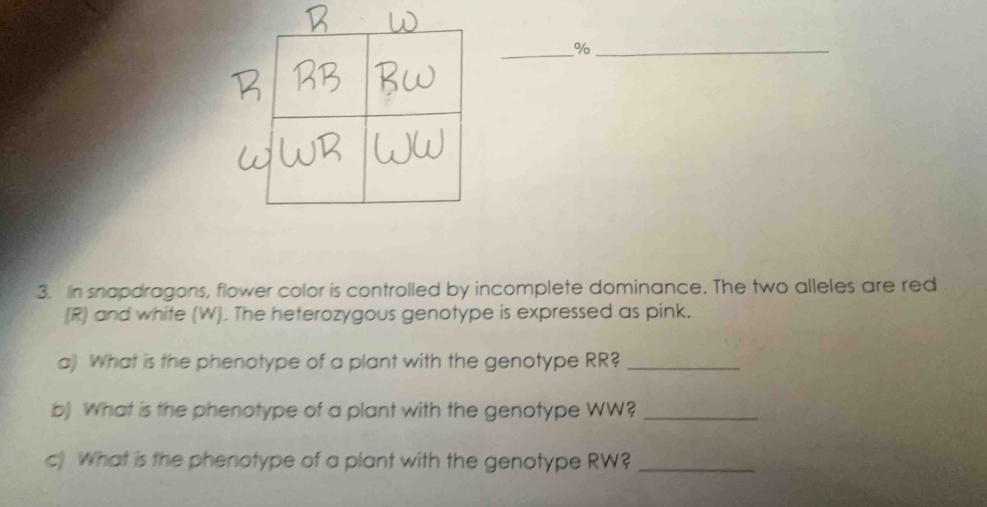 3. in snapdragons, flower color is controlled by incomplete dominance. …