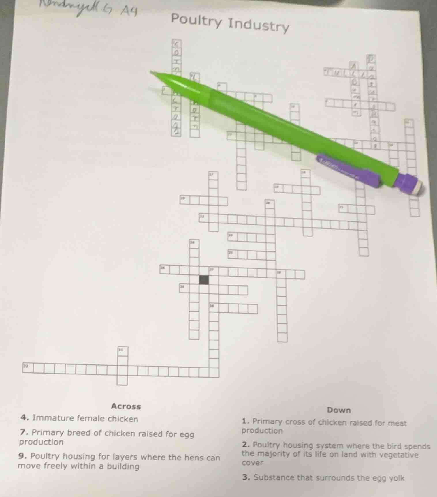 poultry industry across 4. immature female chicken 7. primary breed of …