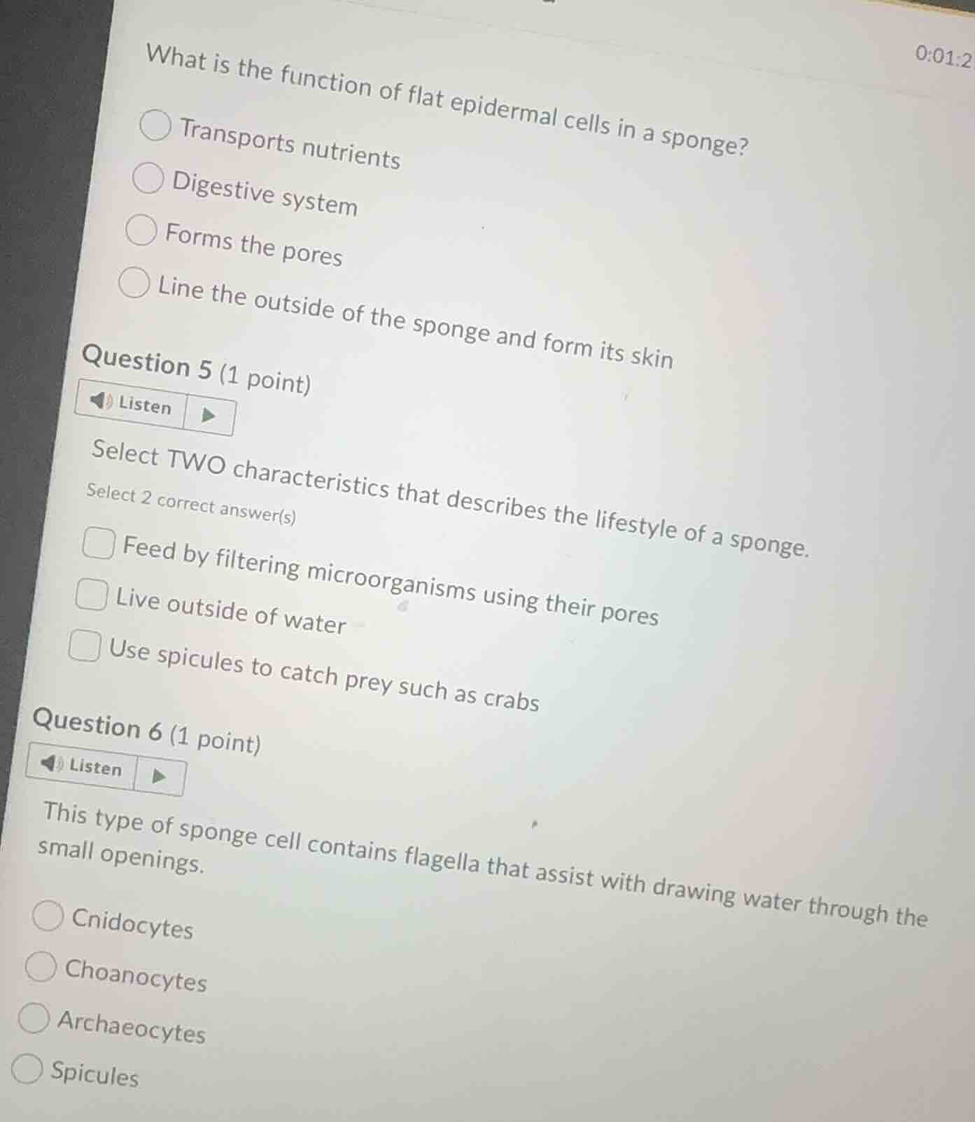 what is the function of flat epidermal cells in a sponge?transports nut…