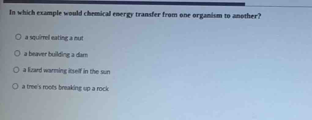 in which example would chemical energy transfer from one organism to an…