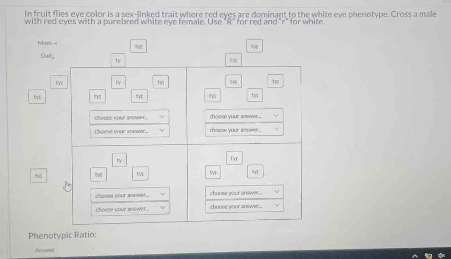 in fruit flies eye color is a sex-linked trait where red eyes are domin…