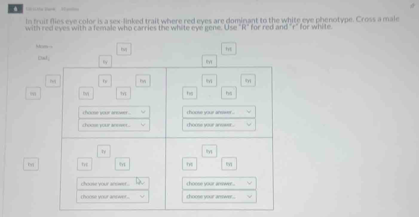 in fruit flies eye color is a sex-linked trait where red eyes are domin…