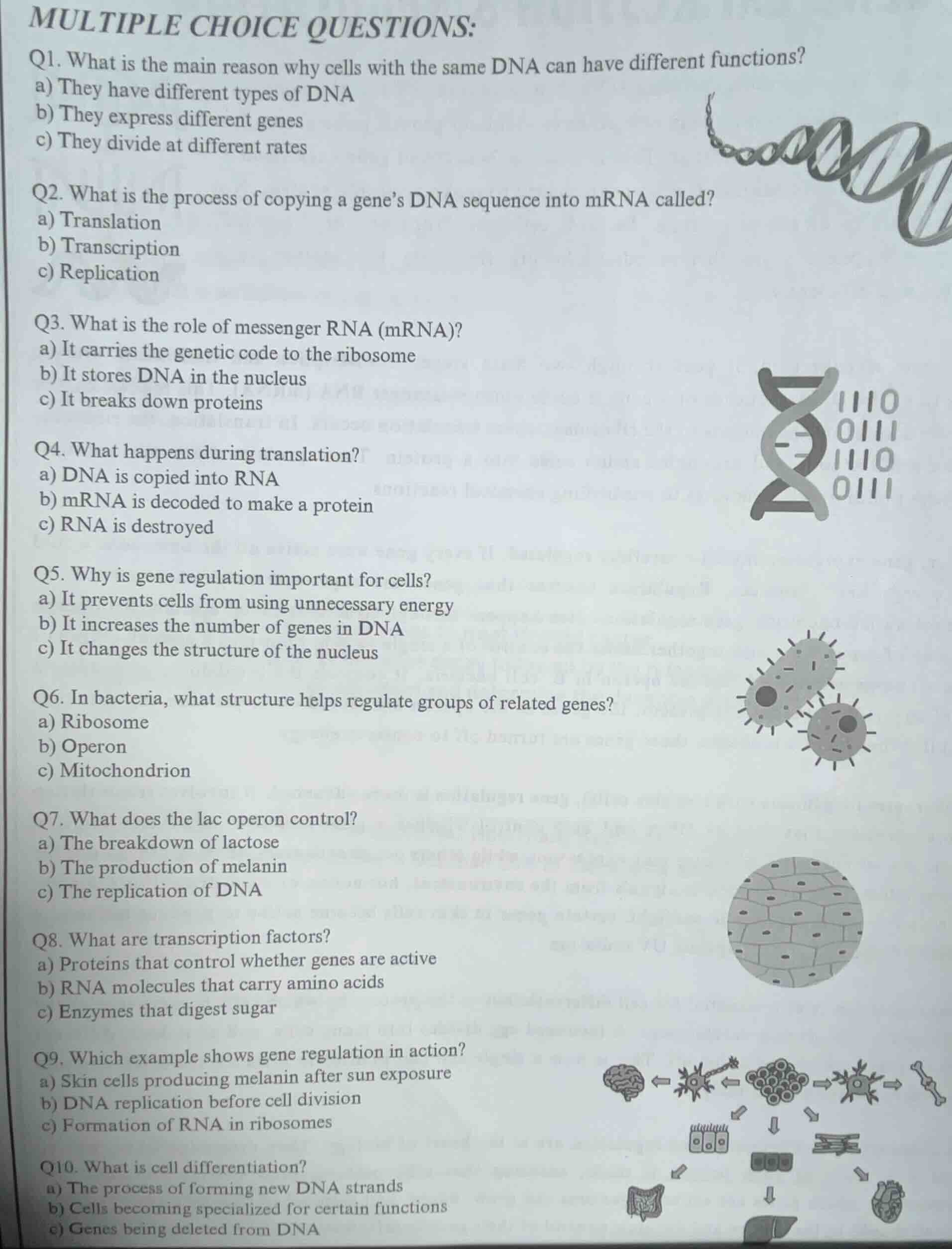multiple choice questions: q1. what is the main reason why cells with t…