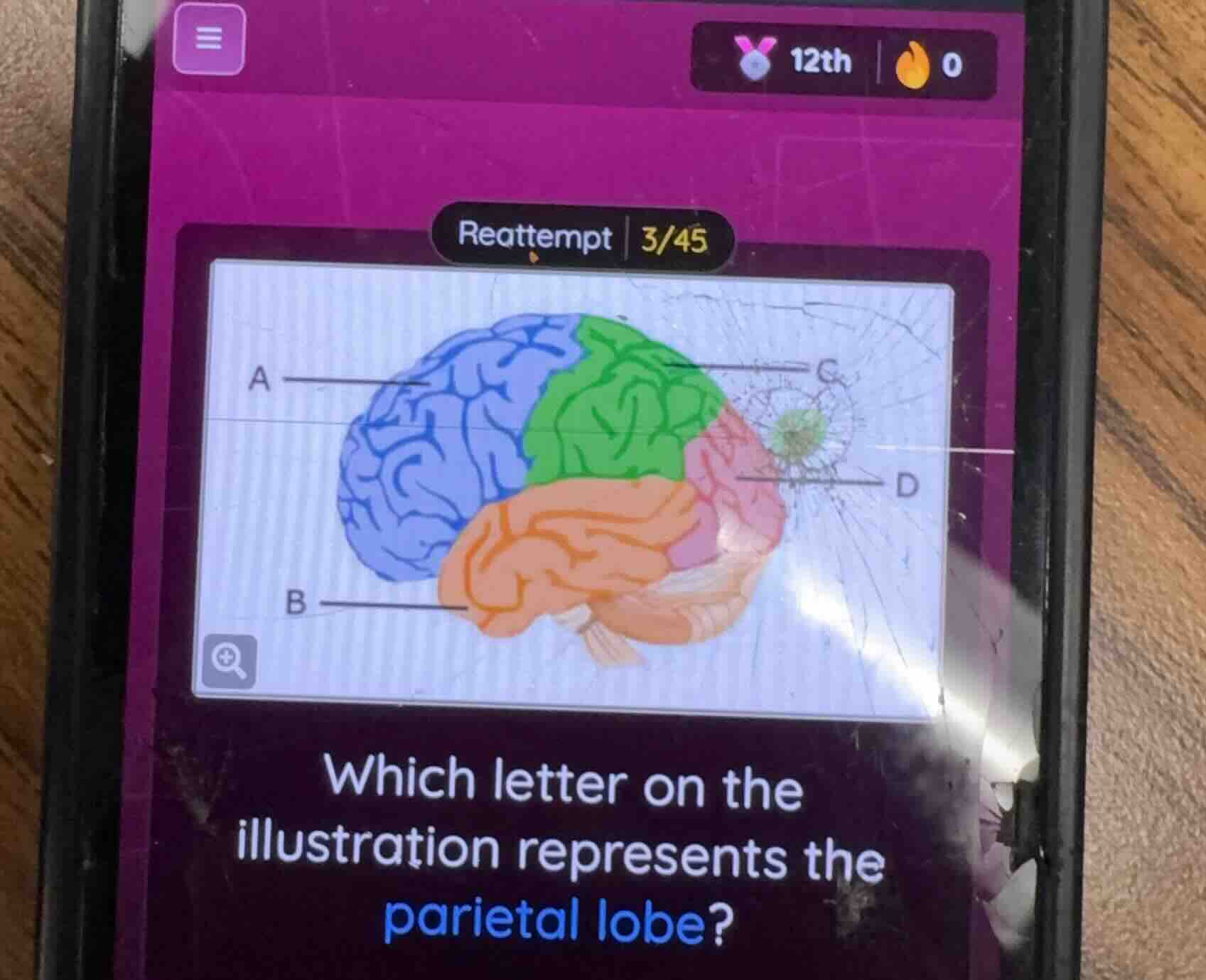 reattempt 3/45 which letter on the illustration represents the parietal…