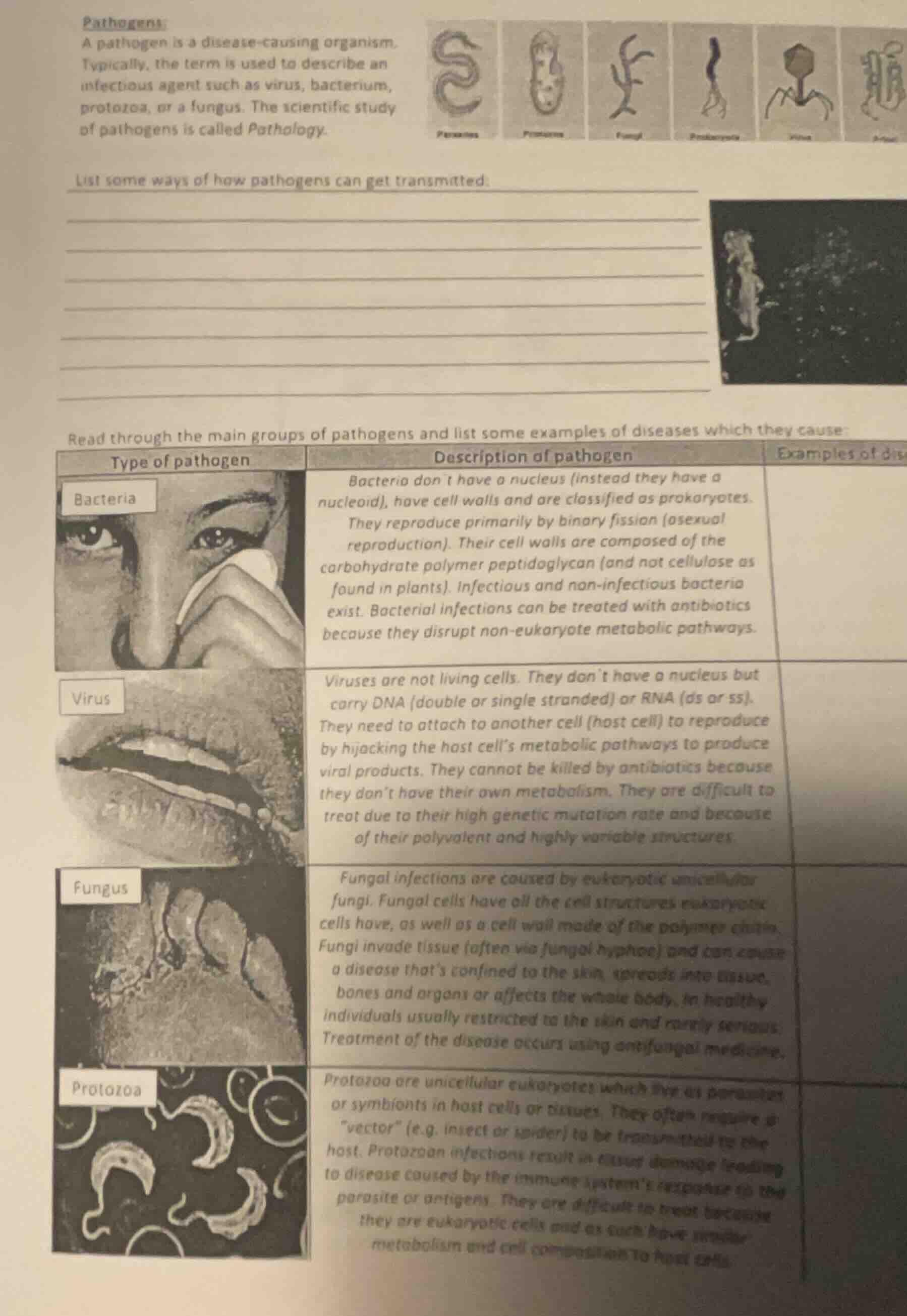 pathogens:a pathogen is a disease-causing organism.typically, the term …