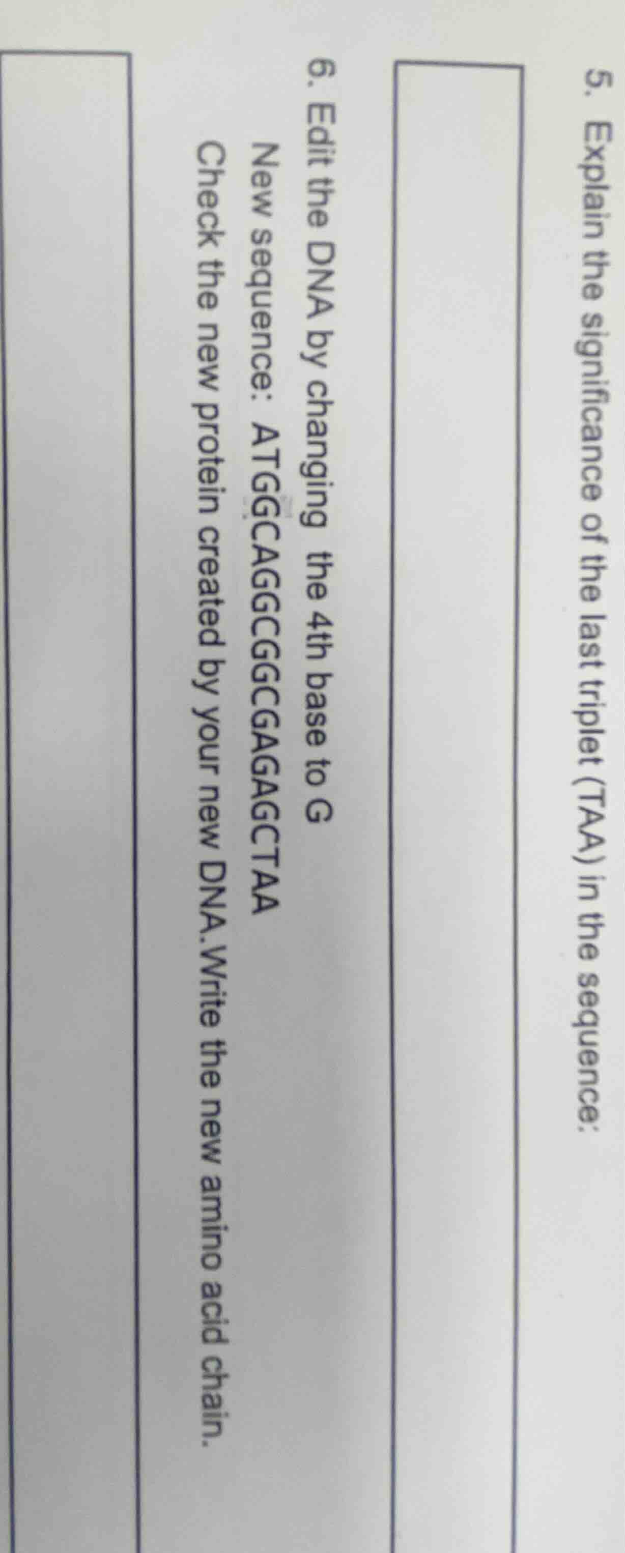 5. explain the significance of the last triplet (taa) in the sequence: …