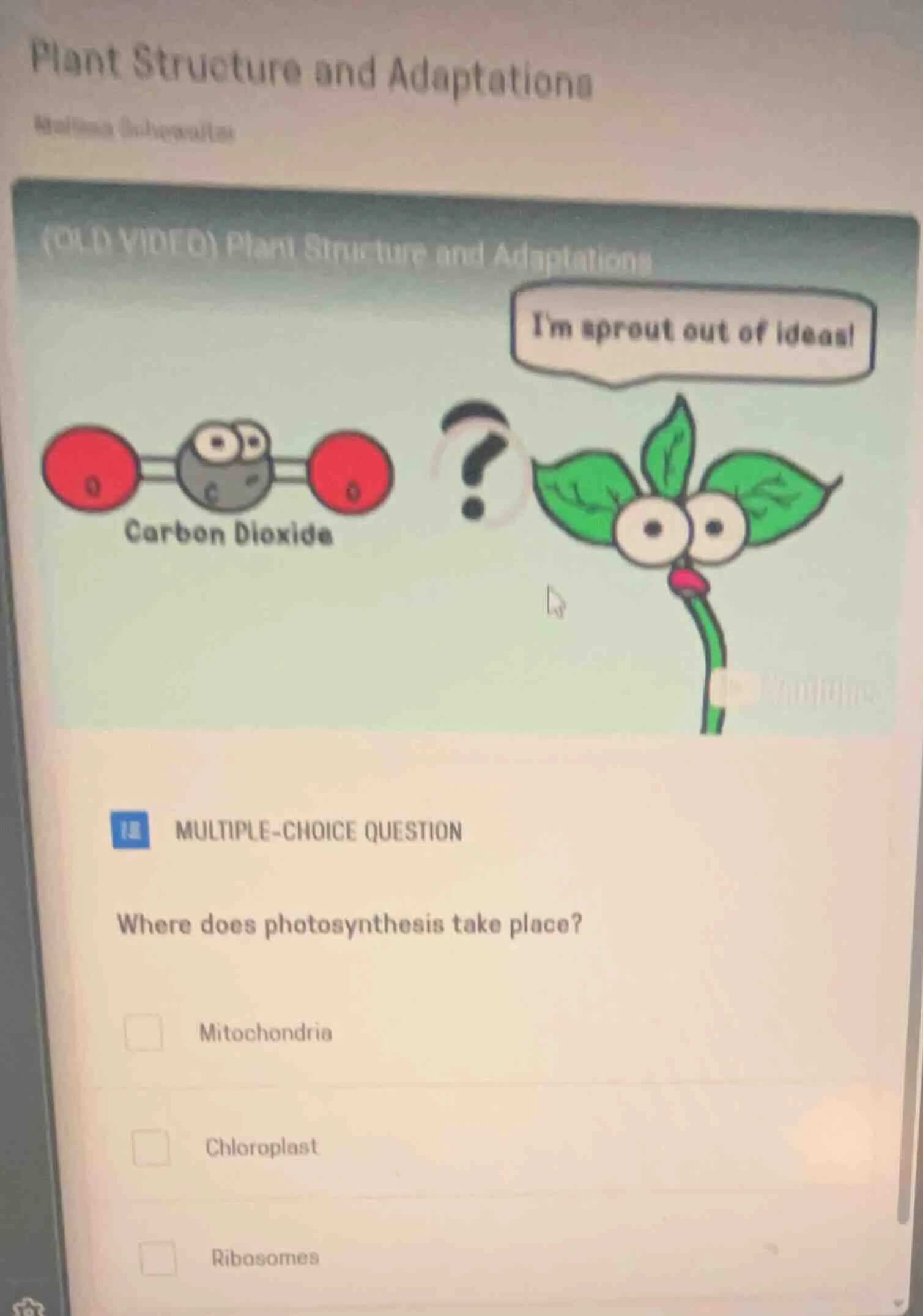 plant structure and adaptations(old video) plant structure and adaptati…