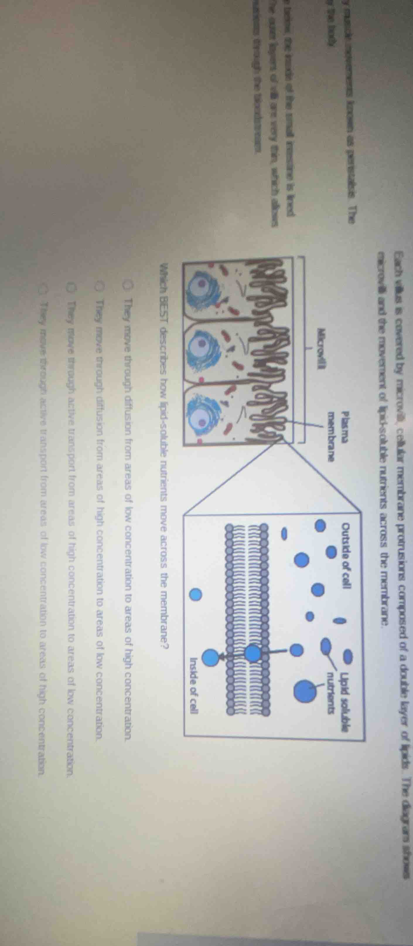 y muscle movements known as peristalsis. the the body lining, the insid…
