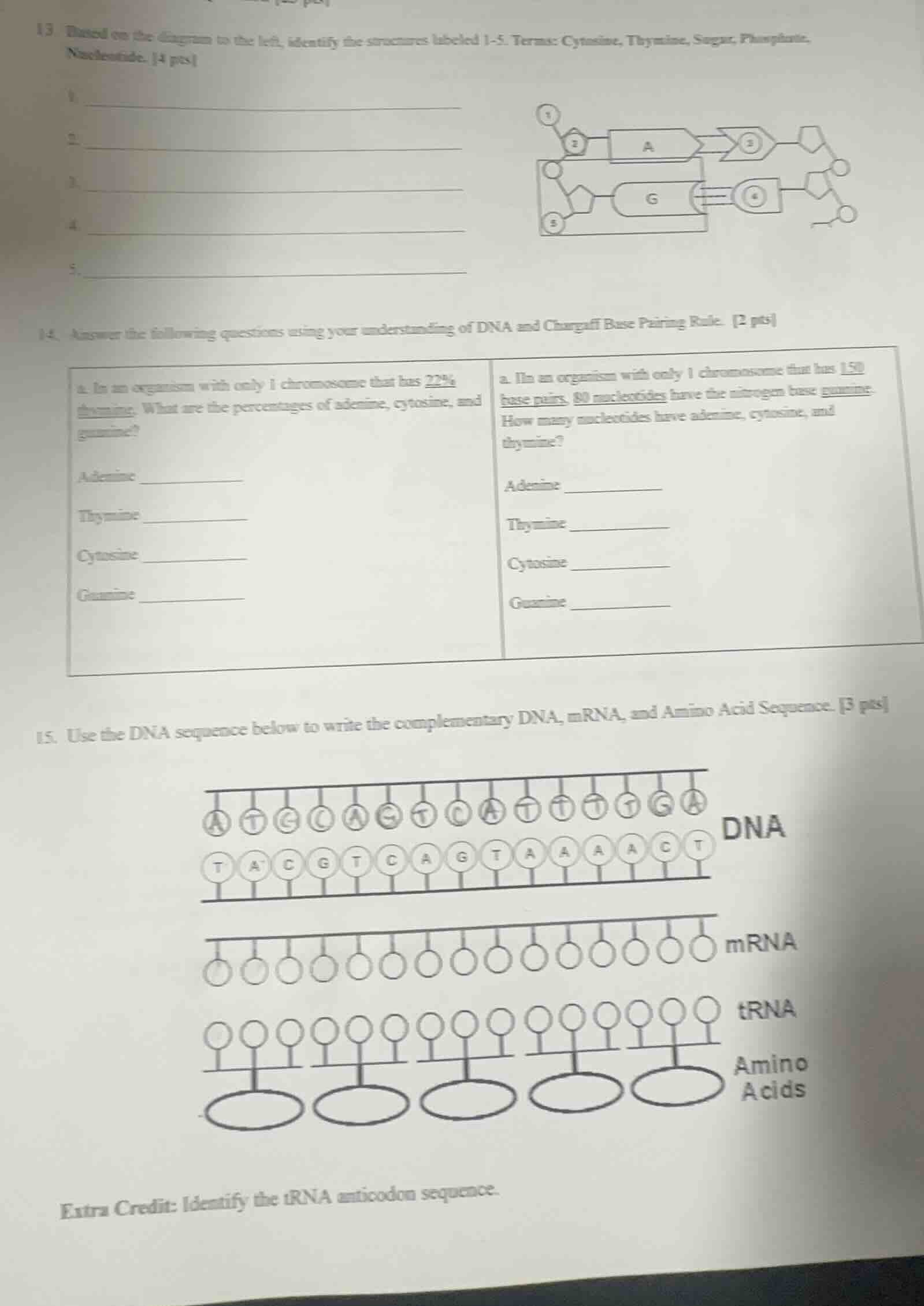 13. based on the diagram to the left, identify the structures labeled 1…