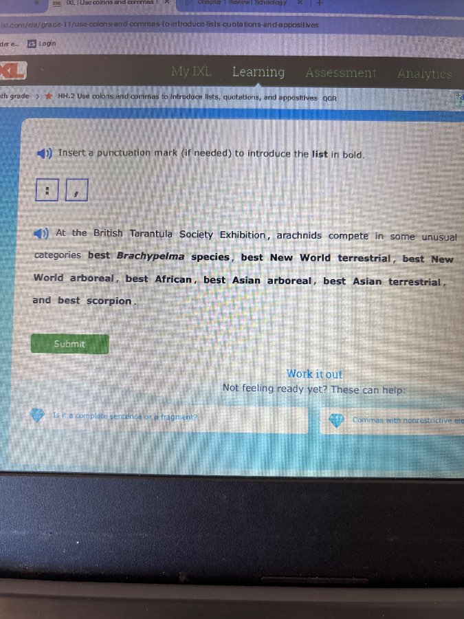 insert a punctuation mark (if needed) to introduce the list in bold.: /…