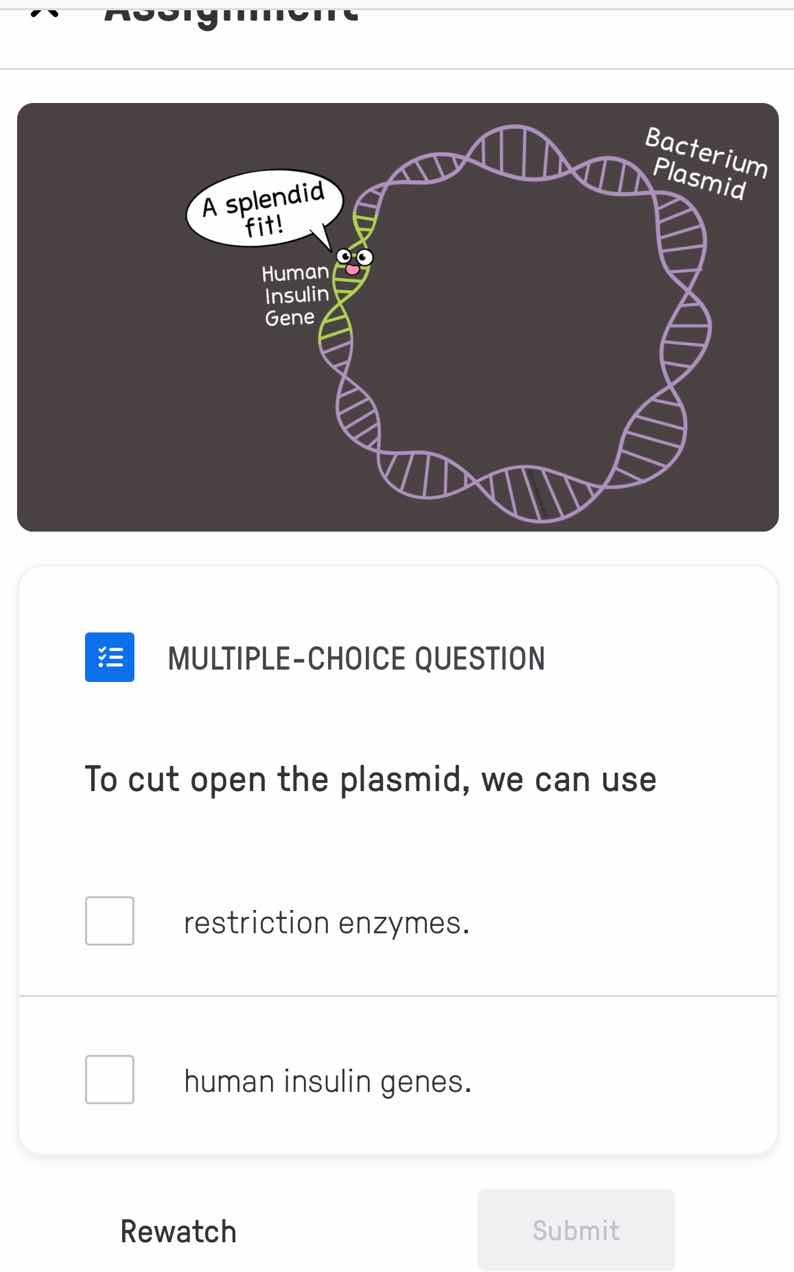 multiple-choice question to cut open the plasmid, we can use restrictio…