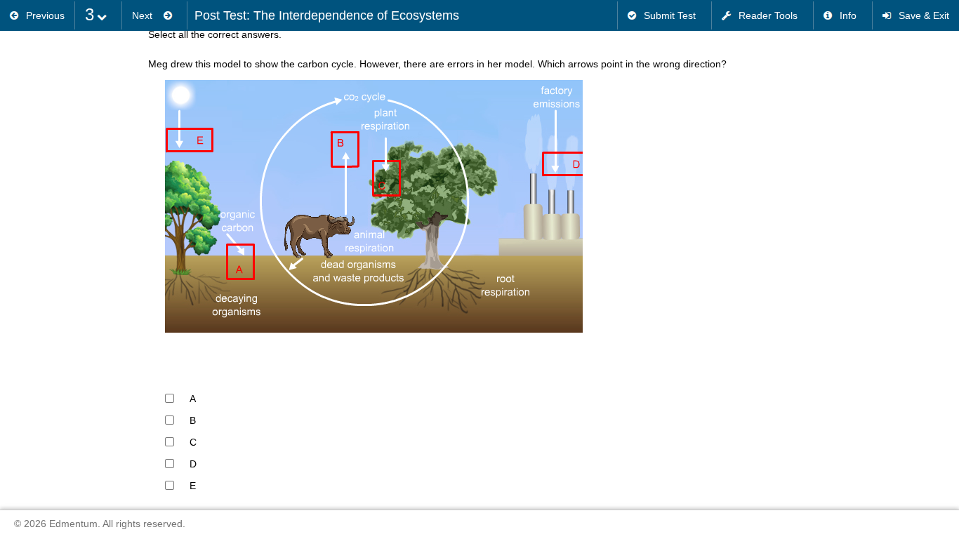 post test: the interdependence of ecosystems select all the correct ans…