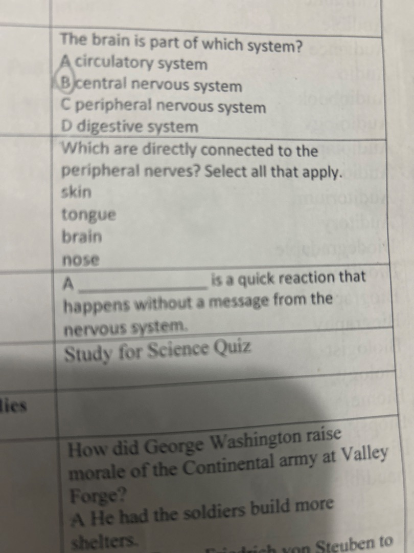 the brain is part of which system? a circulatory system b central nervo…