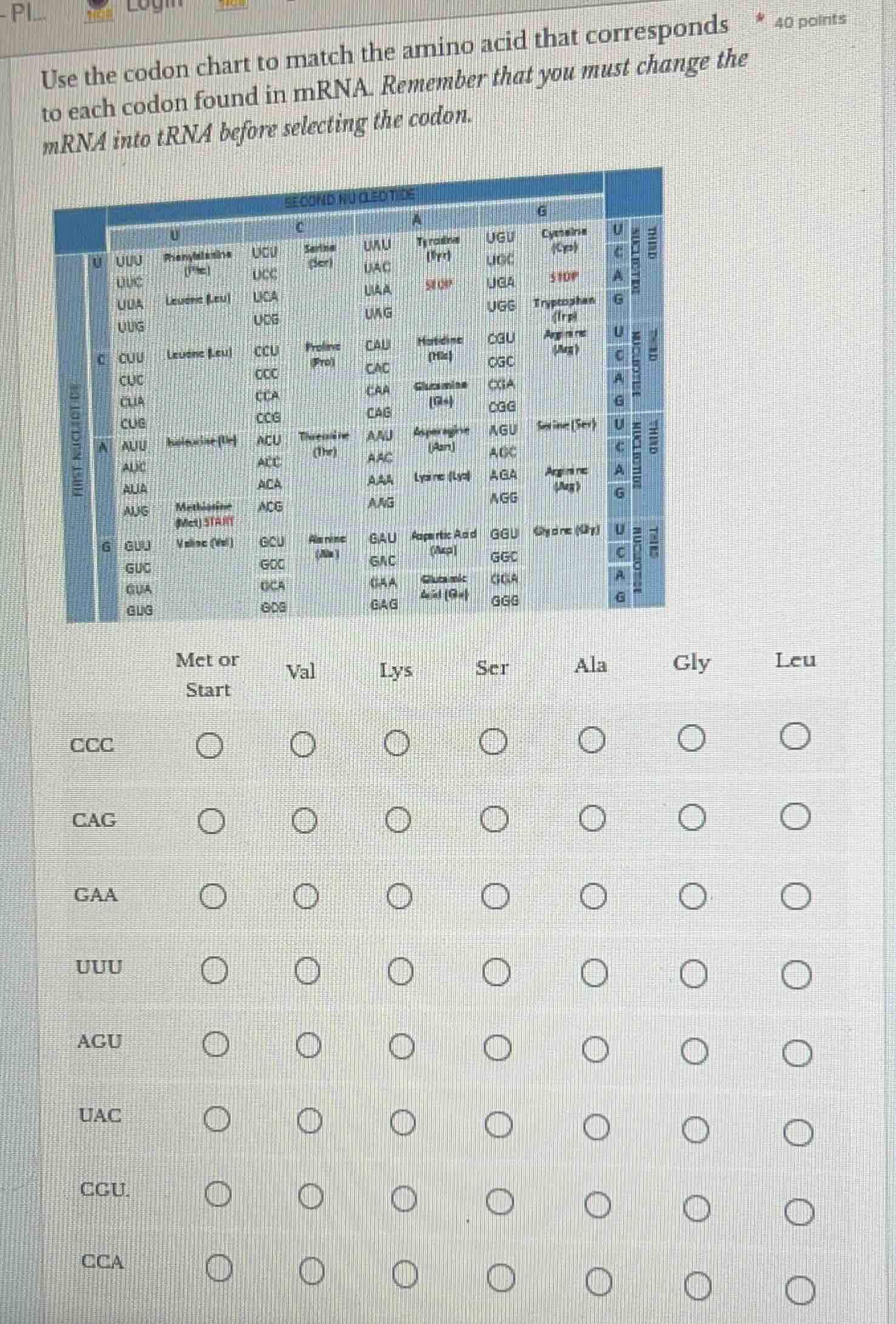 use the codon chart to match the amino acid that corresponds to each co…