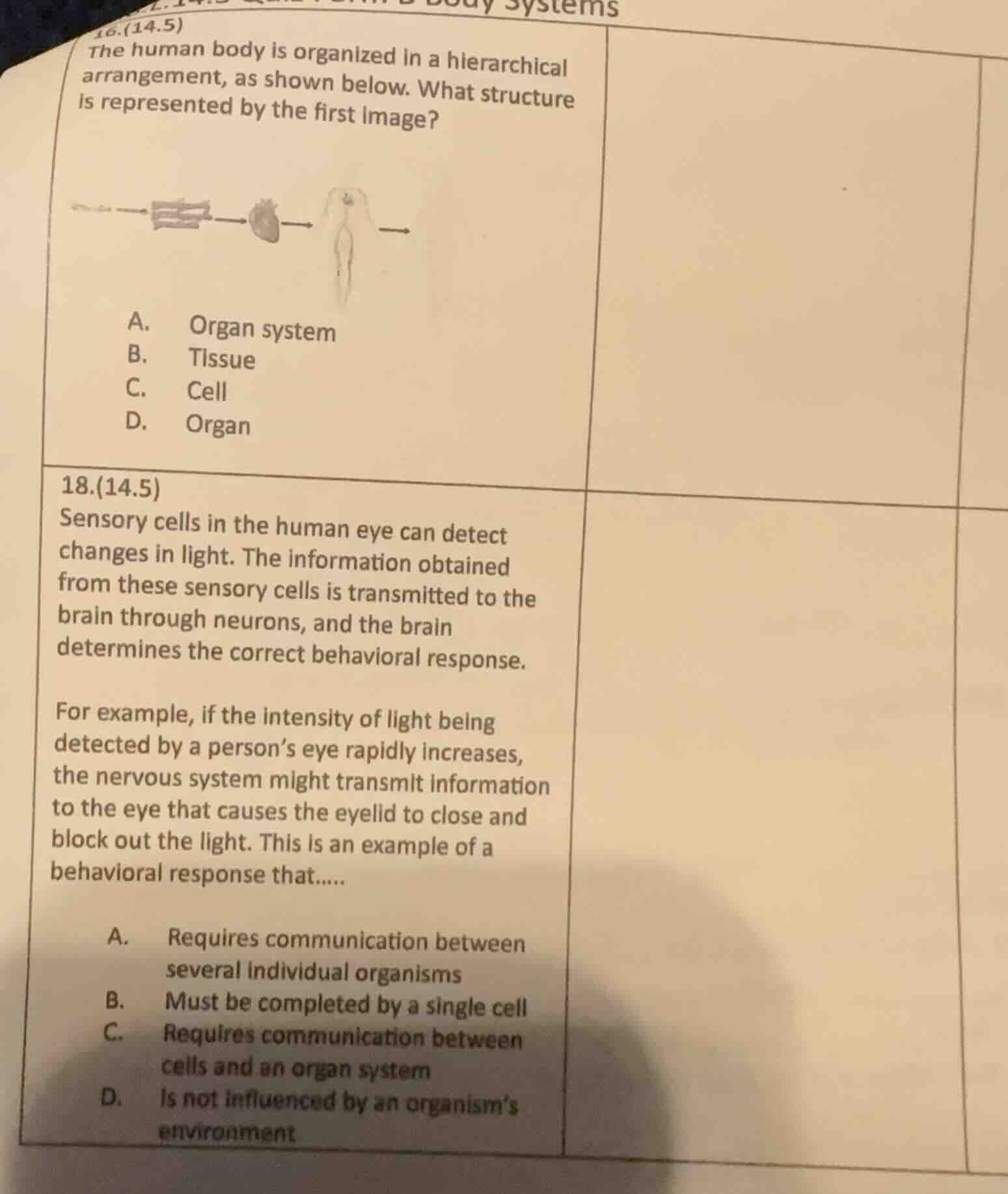 16.(14.5)the human body is organized in a hierarchical arrangement, as …