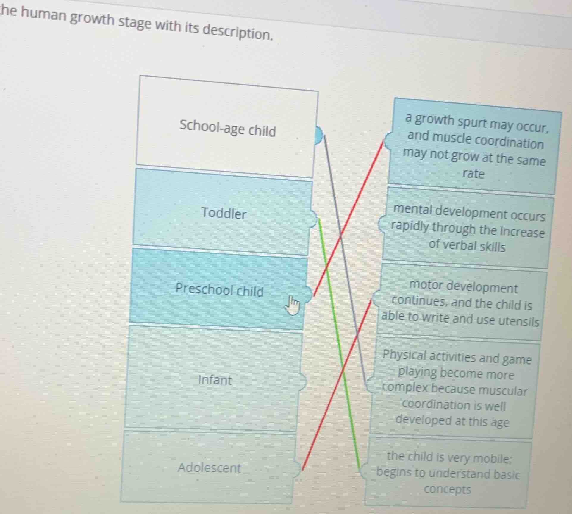 match the human growth stage with its description. school-age child tod…