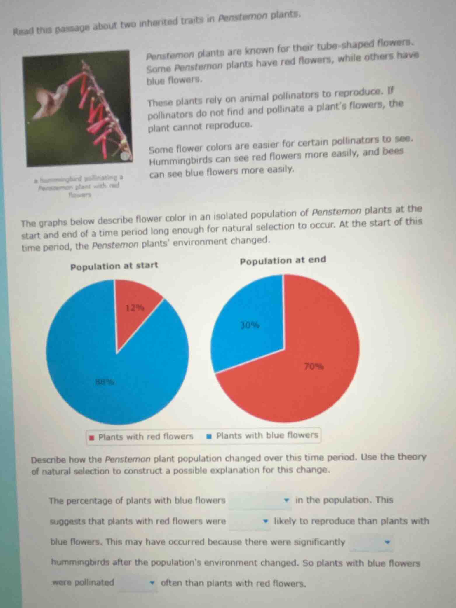 read this passage about two inherited traits in penstemon plants. penst…