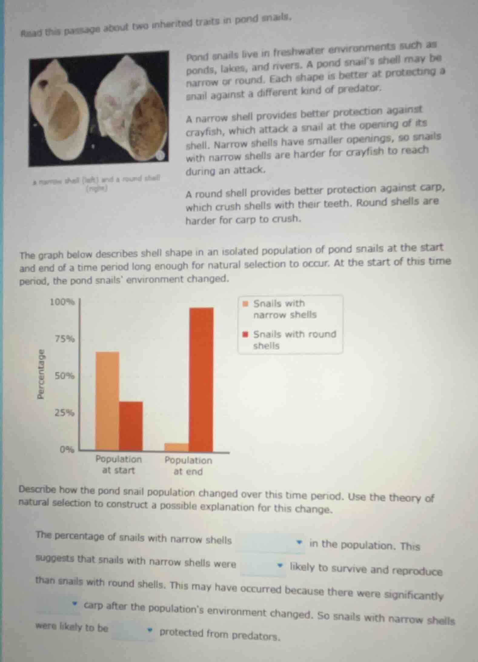 read this passage about two inherited traits in pond snails. a narrow s…
