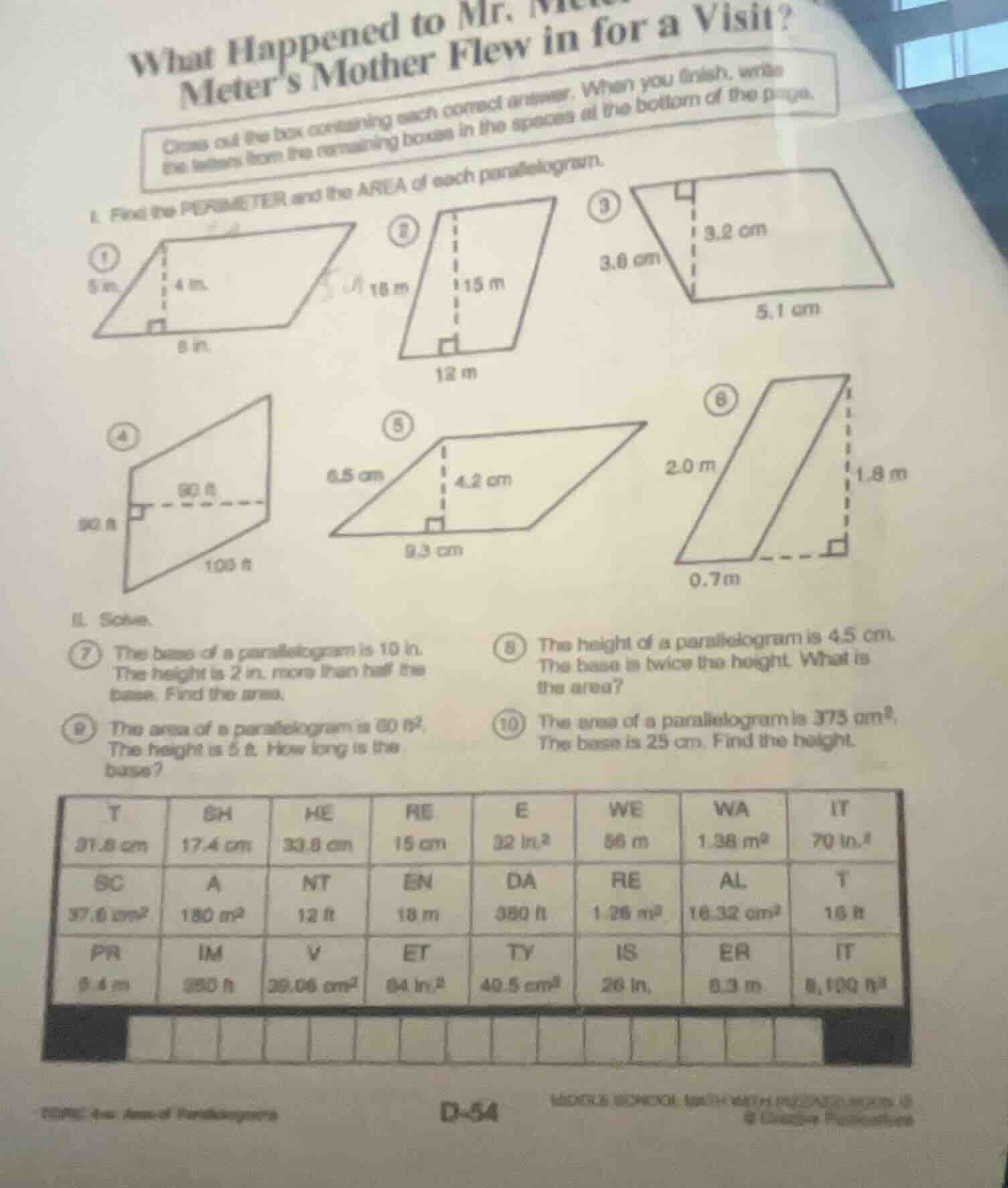 what happened to mr. meters mother flew in for a visit? cross out the b…