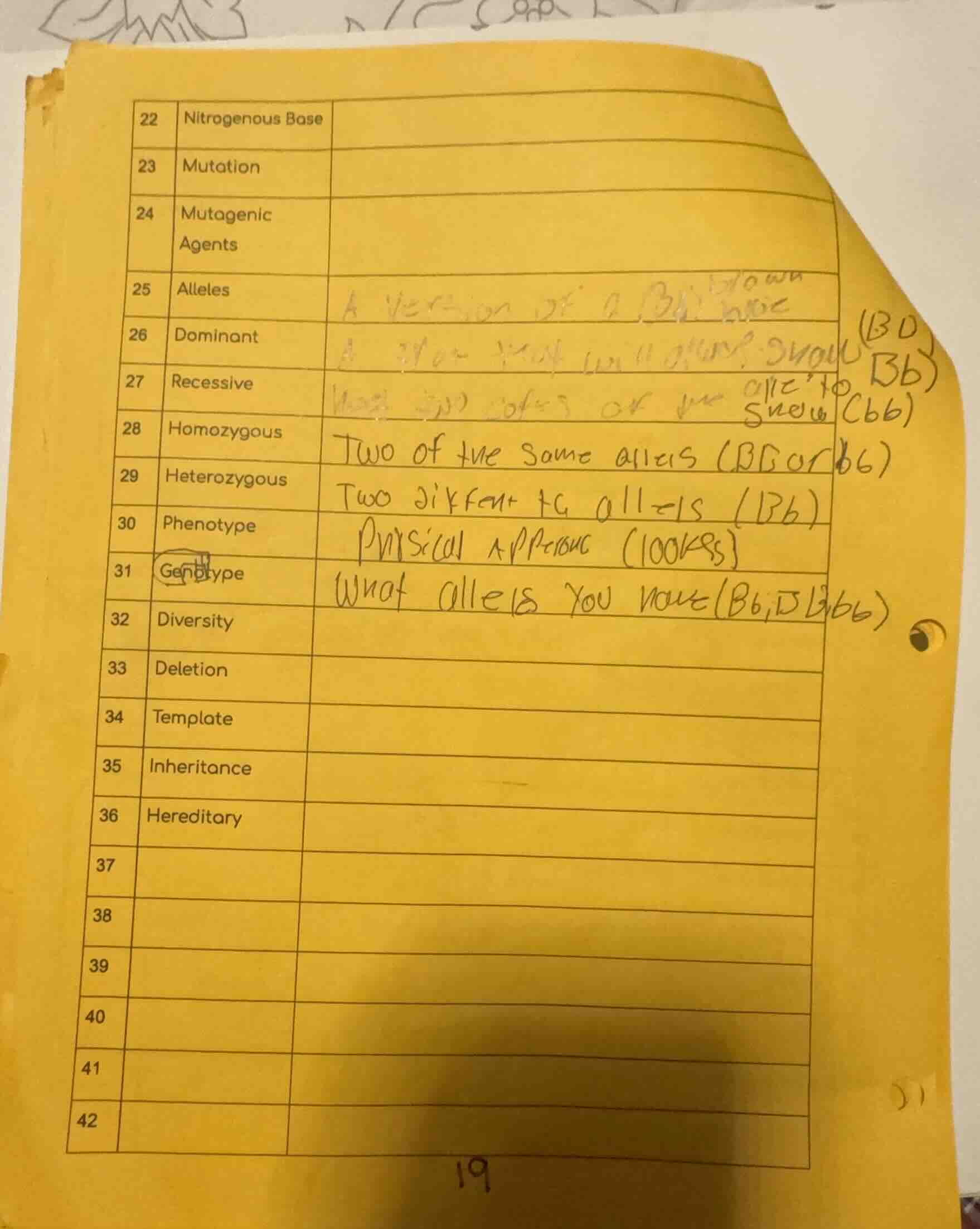 22 nitrogenous base 23 mutation 24 mutagenic agents 25 alleles a versio…