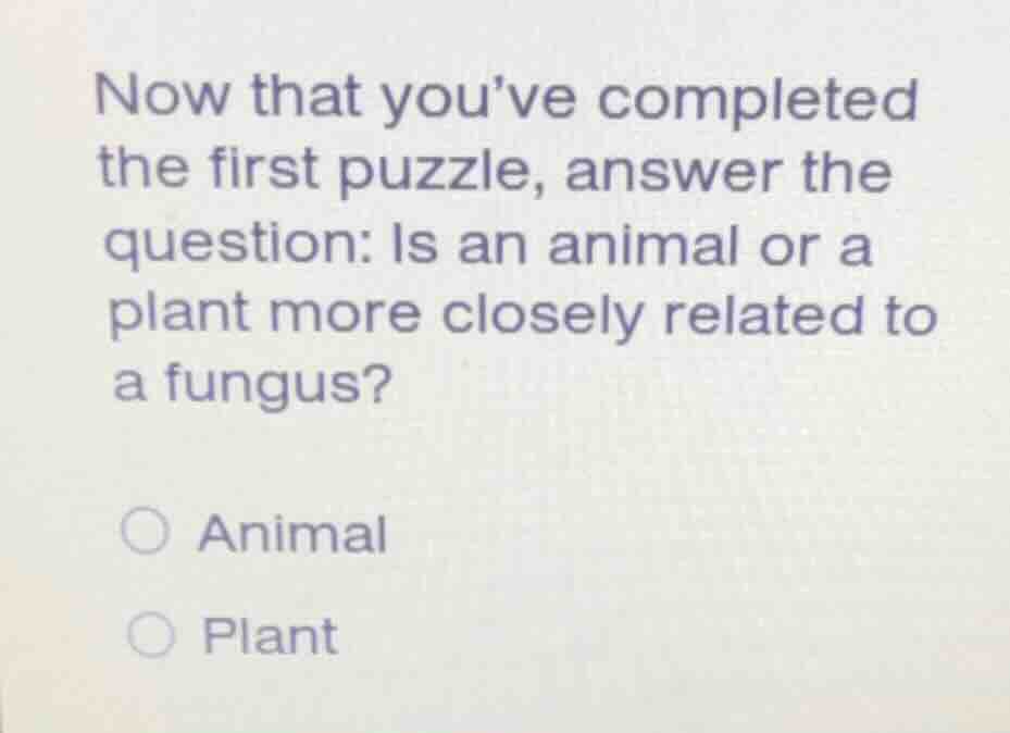 now that youve completed the first puzzle, answer the question: is an a…