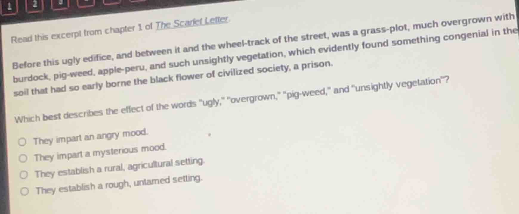 read this excerpt from chapter 1 of the scarlet letter.before this ugly…