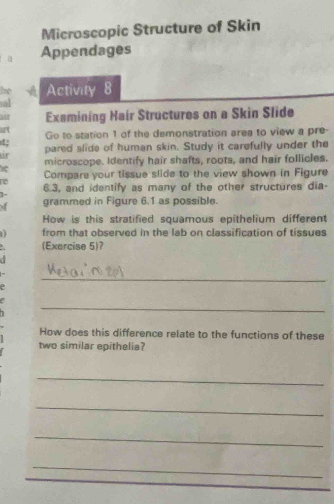 microscopic structure of skin appendages activity 8 examining hair stru…