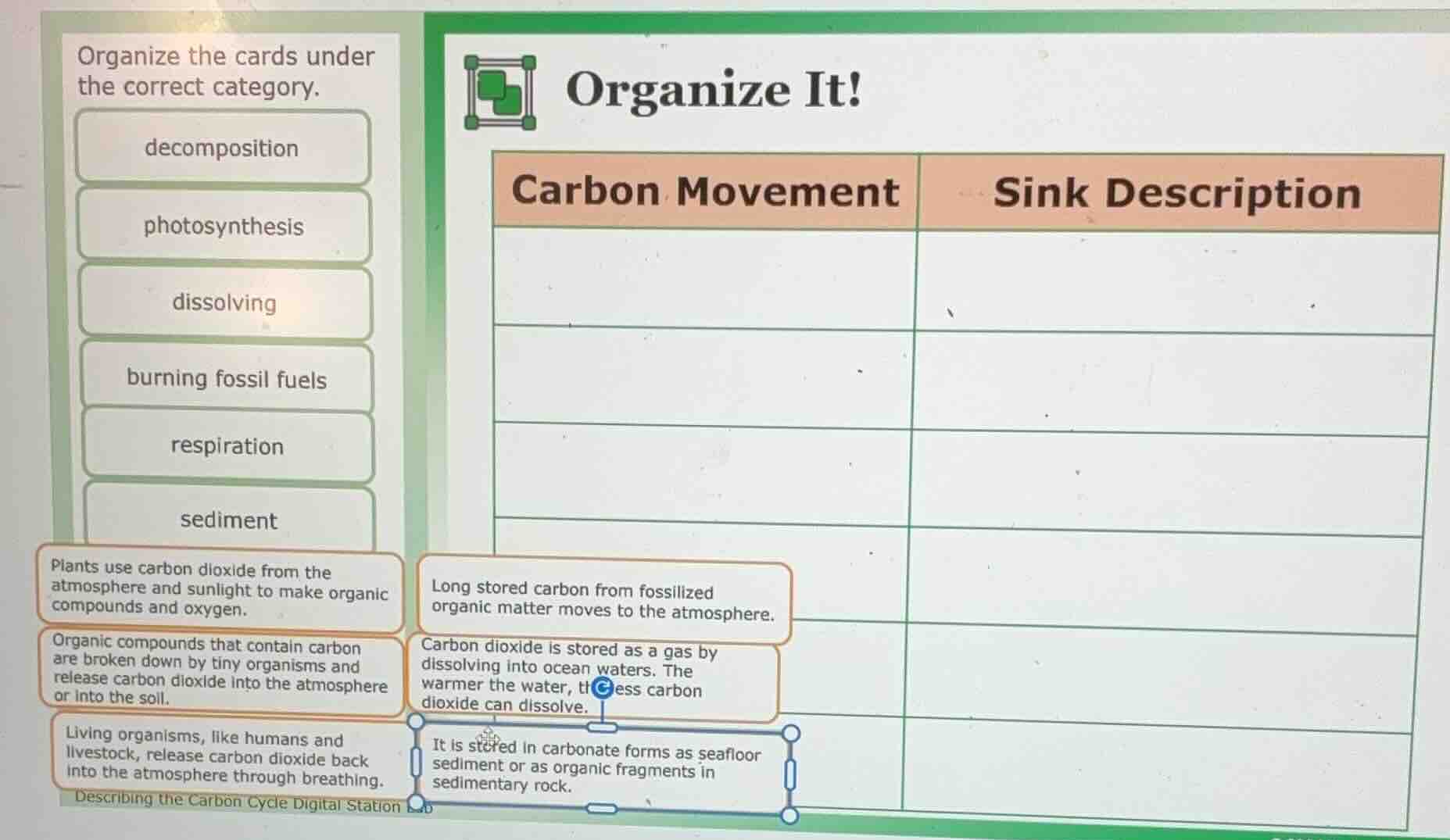 organize the cards under the correct category. decomposition photosynth…