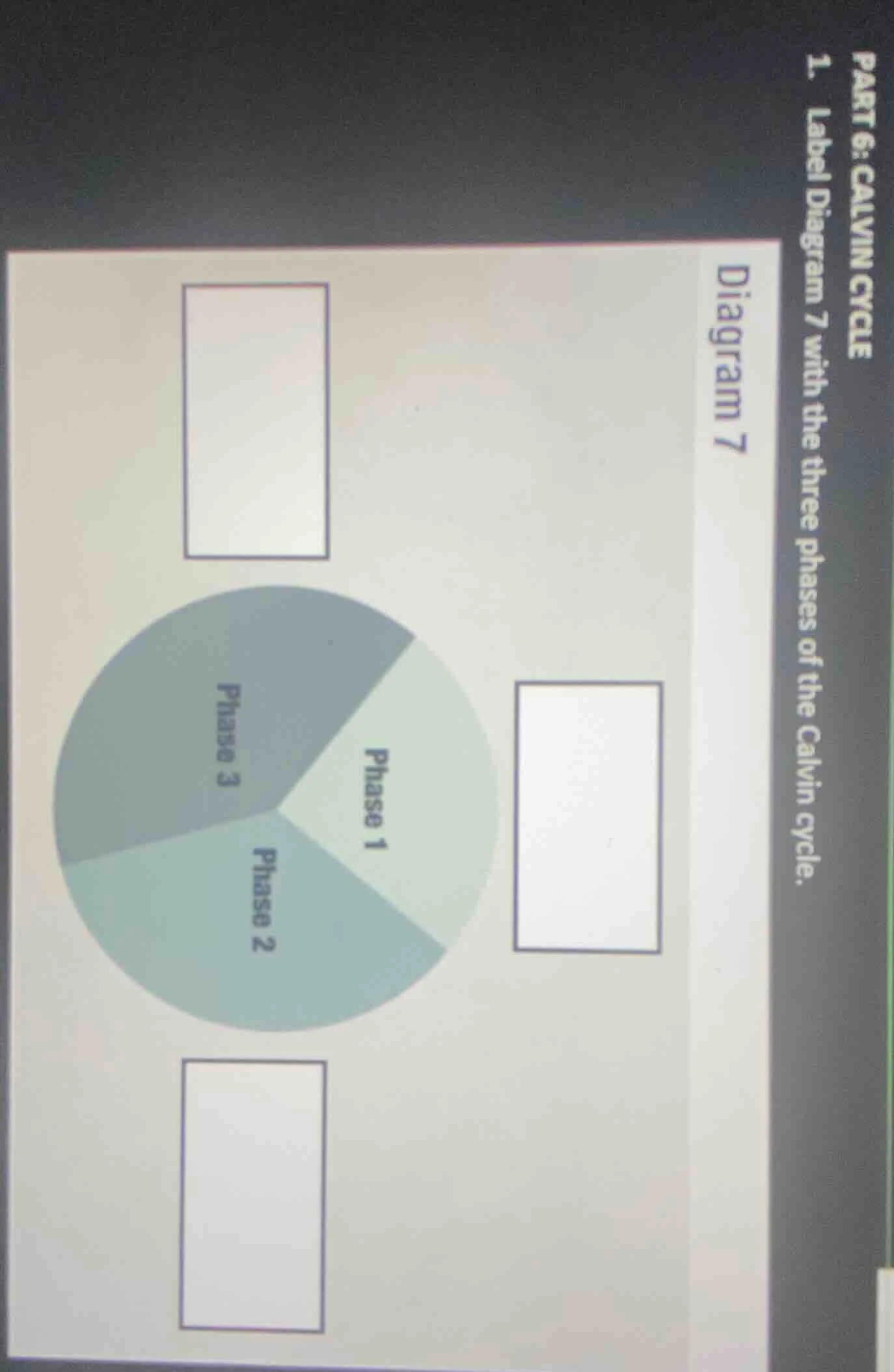 part 6: calvin cycle 1. label diagram 7 with the three phases of the ca…