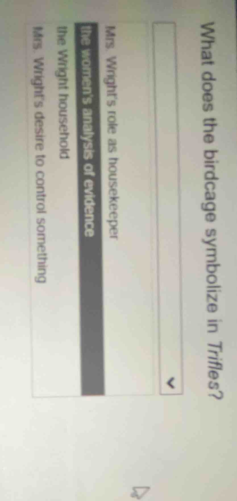 what does the birdcage symbolize in trifles?- mrs. wrights role as hous…