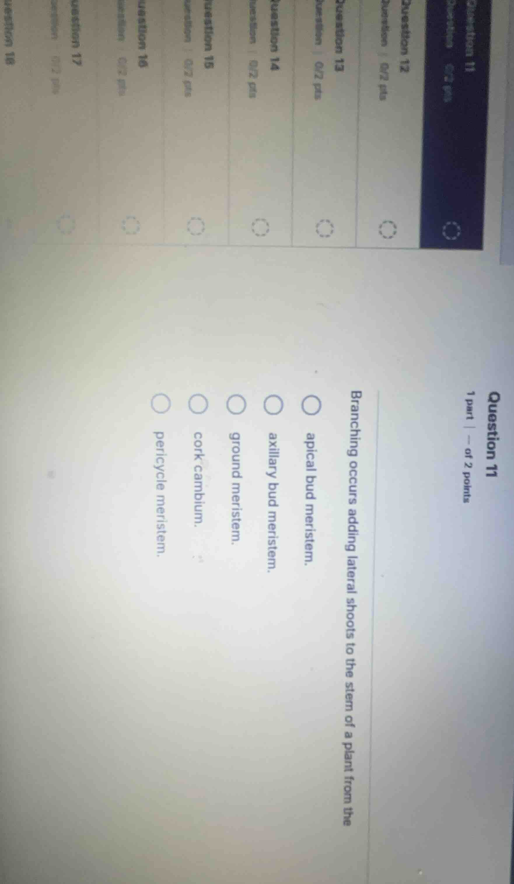 question 11 1 part | -- of 2 points branching occurs adding lateral sho…