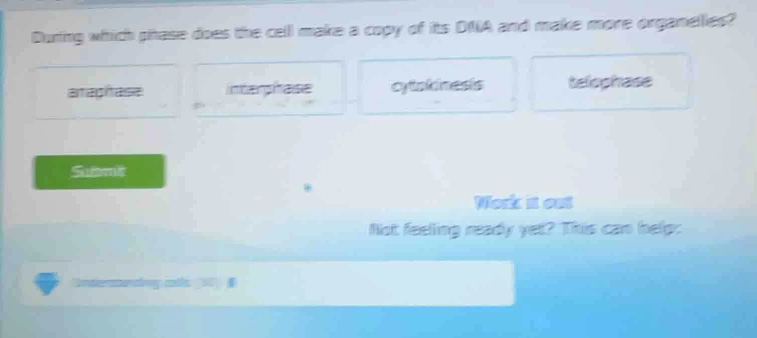 during which phase does the cell make a copy of its dna and make more o…